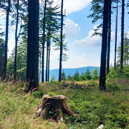 Pod Knehyni - Beskydy * Horní Bečva